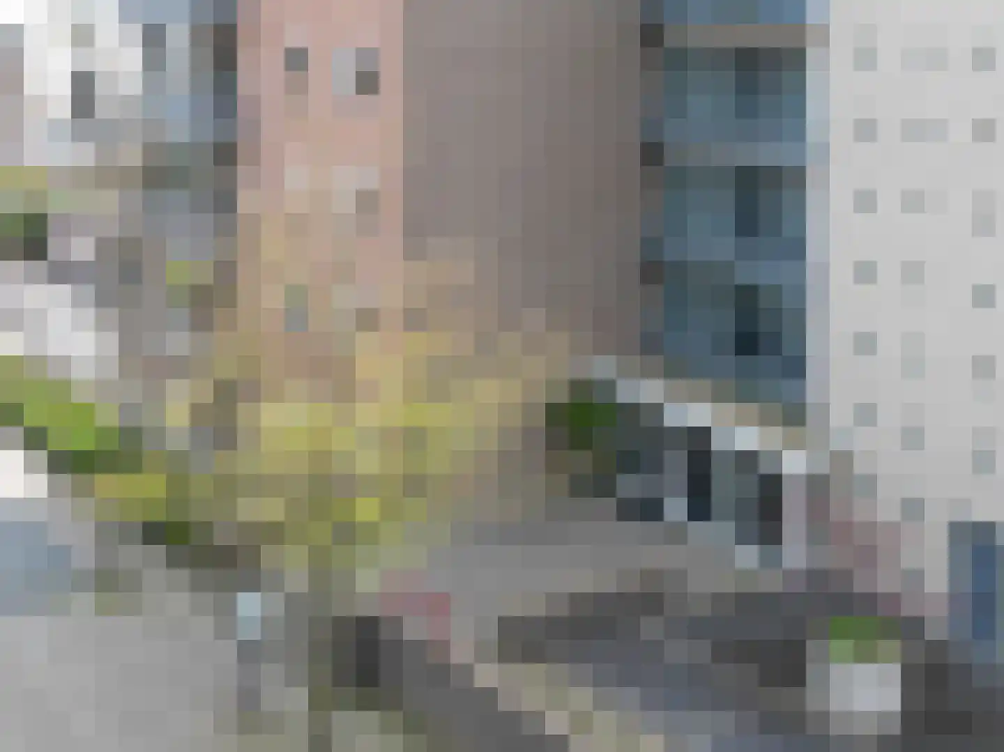 RWH Hofstede Crullstraat 39 Borne thumbnail 5
