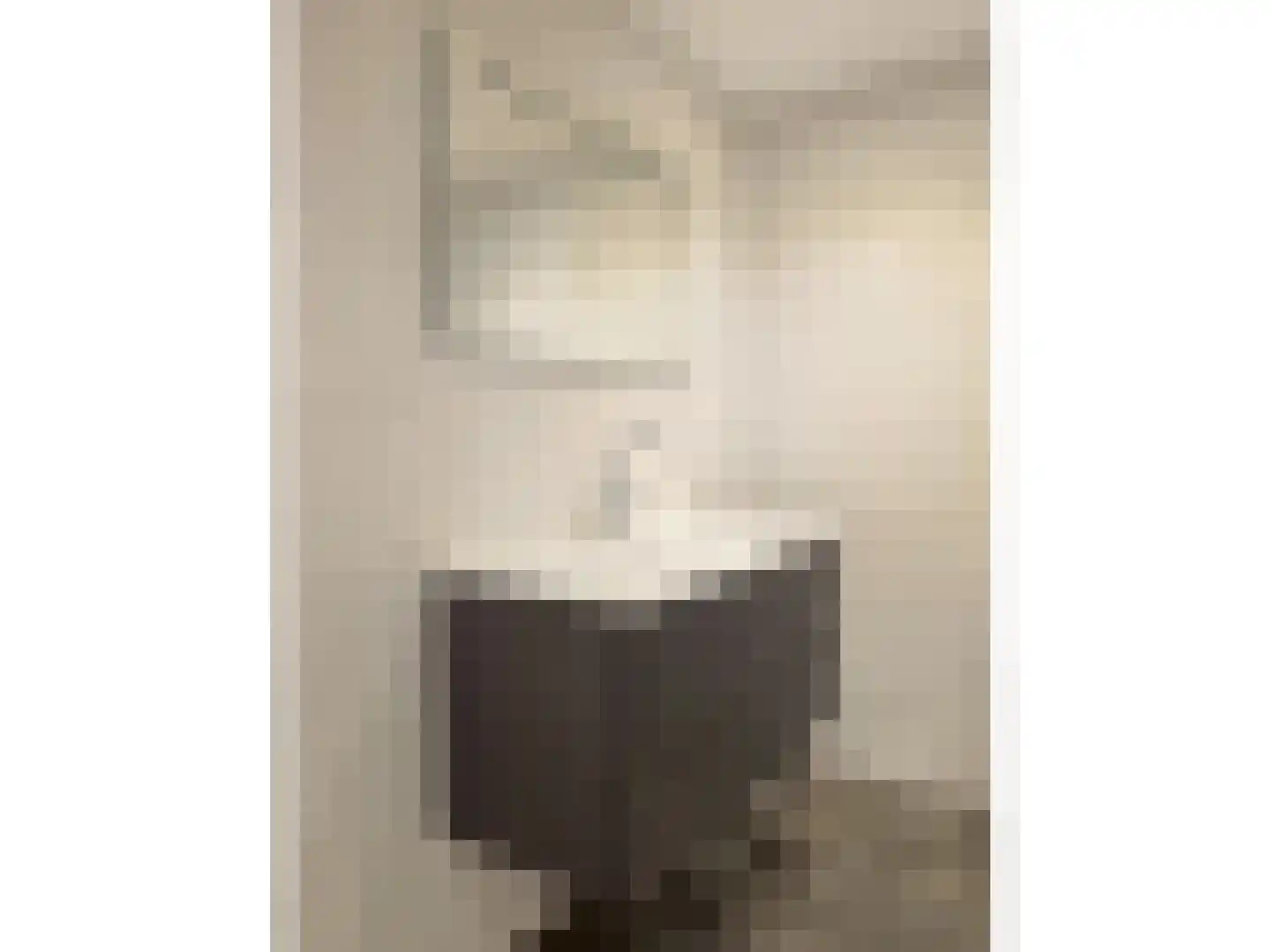 RWH Hofstede Crullstraat 39 Borne thumbnail 62