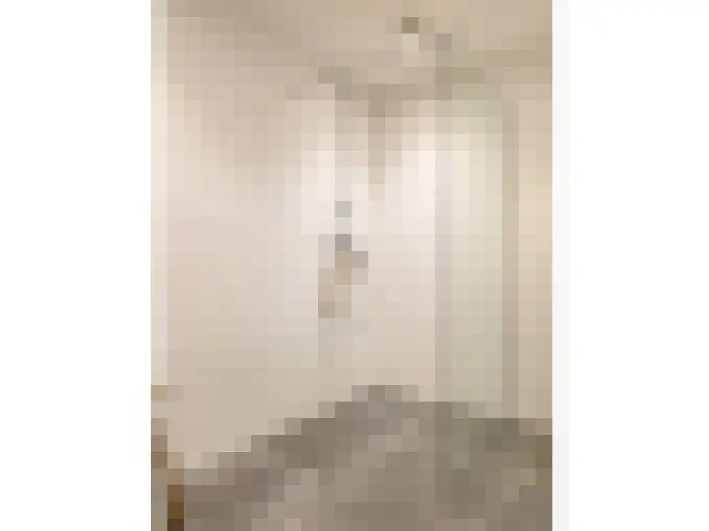 RWH Hofstede Crullstraat 39 Borne thumbnail 66
