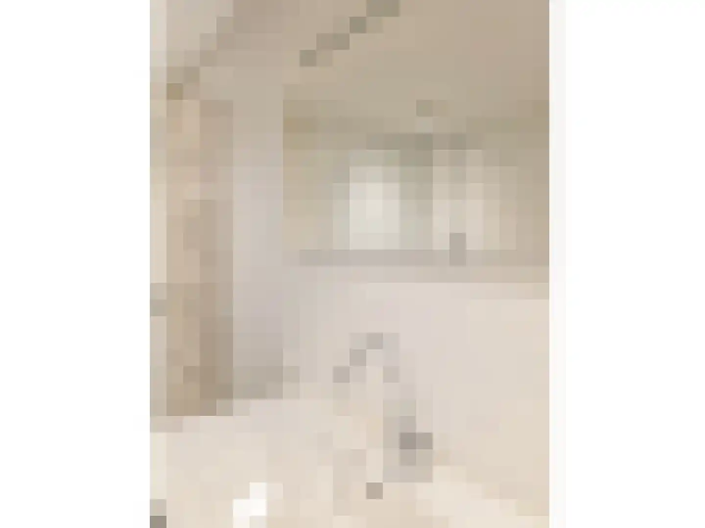 RWH Hofstede Crullstraat 39 Borne thumbnail 68