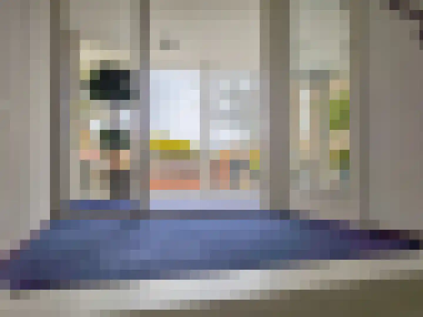 RWH Hofstede Crullstraat 39 Borne thumbnail 9