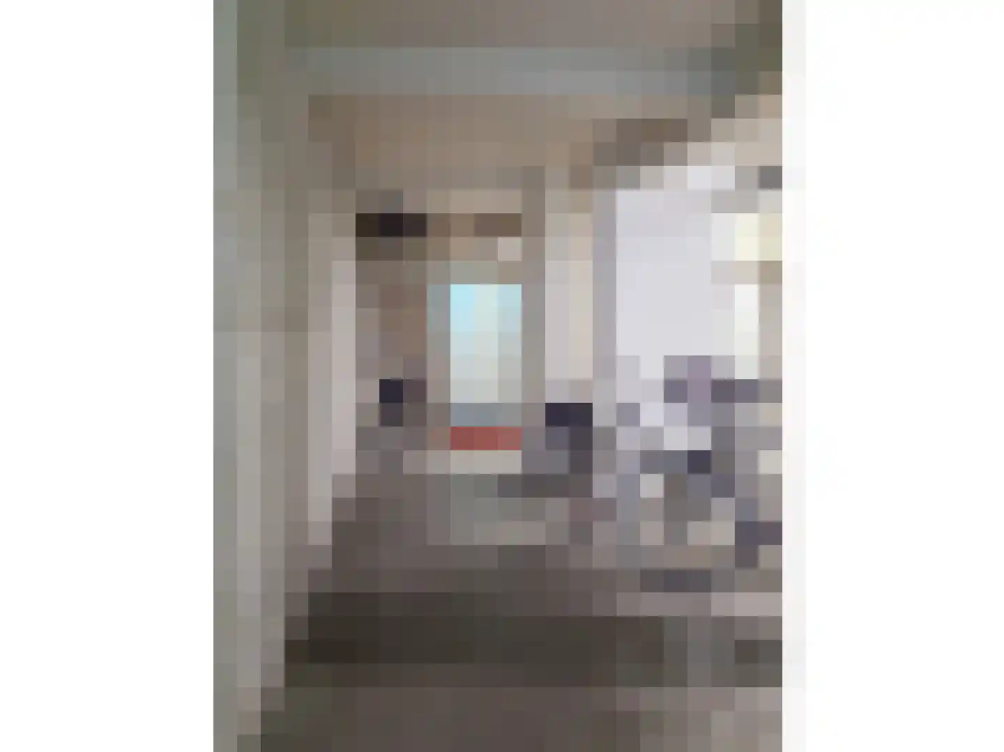 RWH Hofstede Crullstraat 39 Borne thumbnail 90