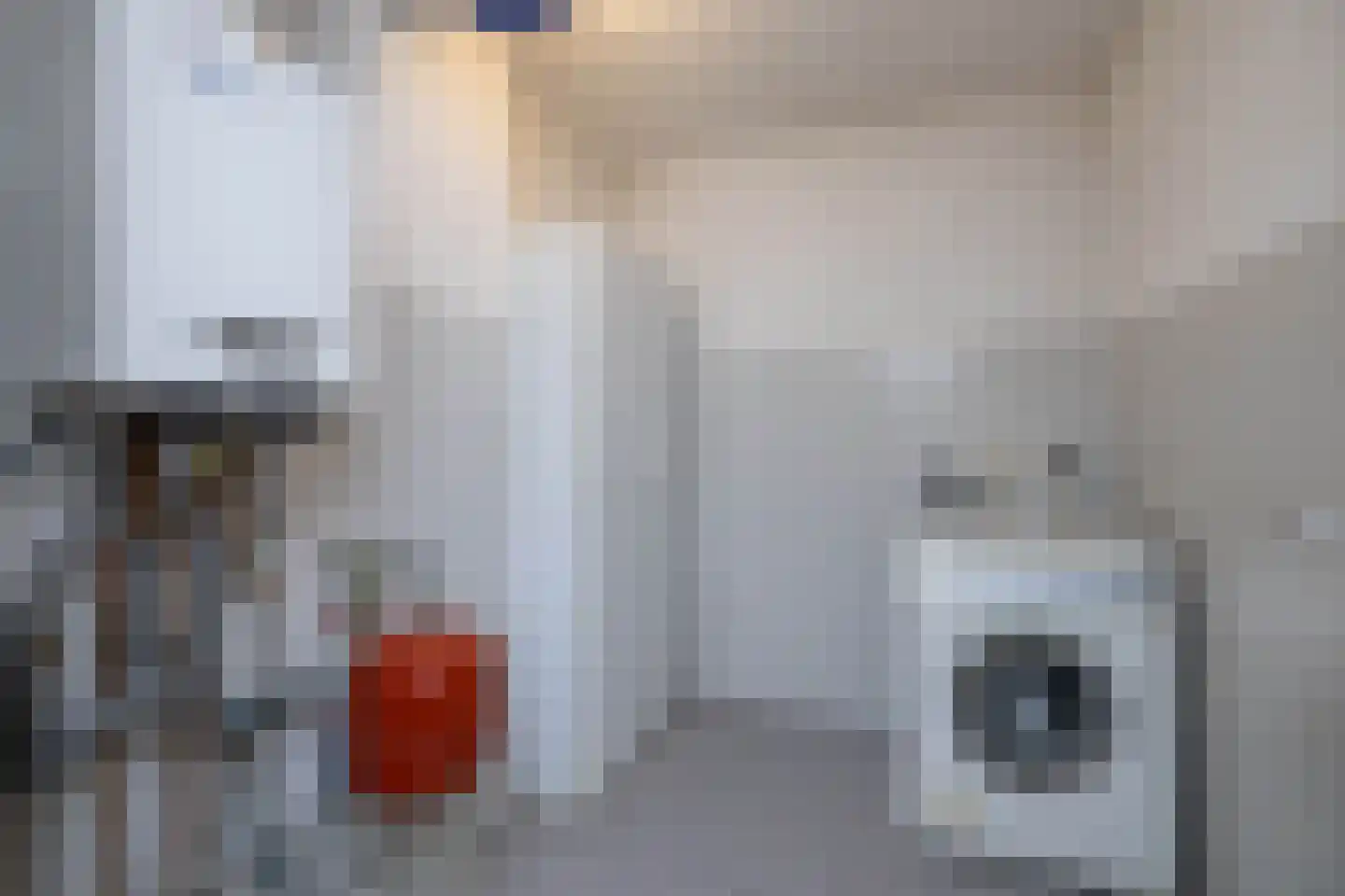 RWH Hofstede Crullstraat 43 Borne thumbnail 19