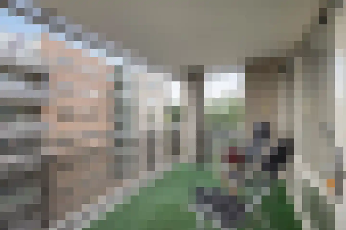 RWH Hofstede Crullstraat 43 Borne thumbnail 21