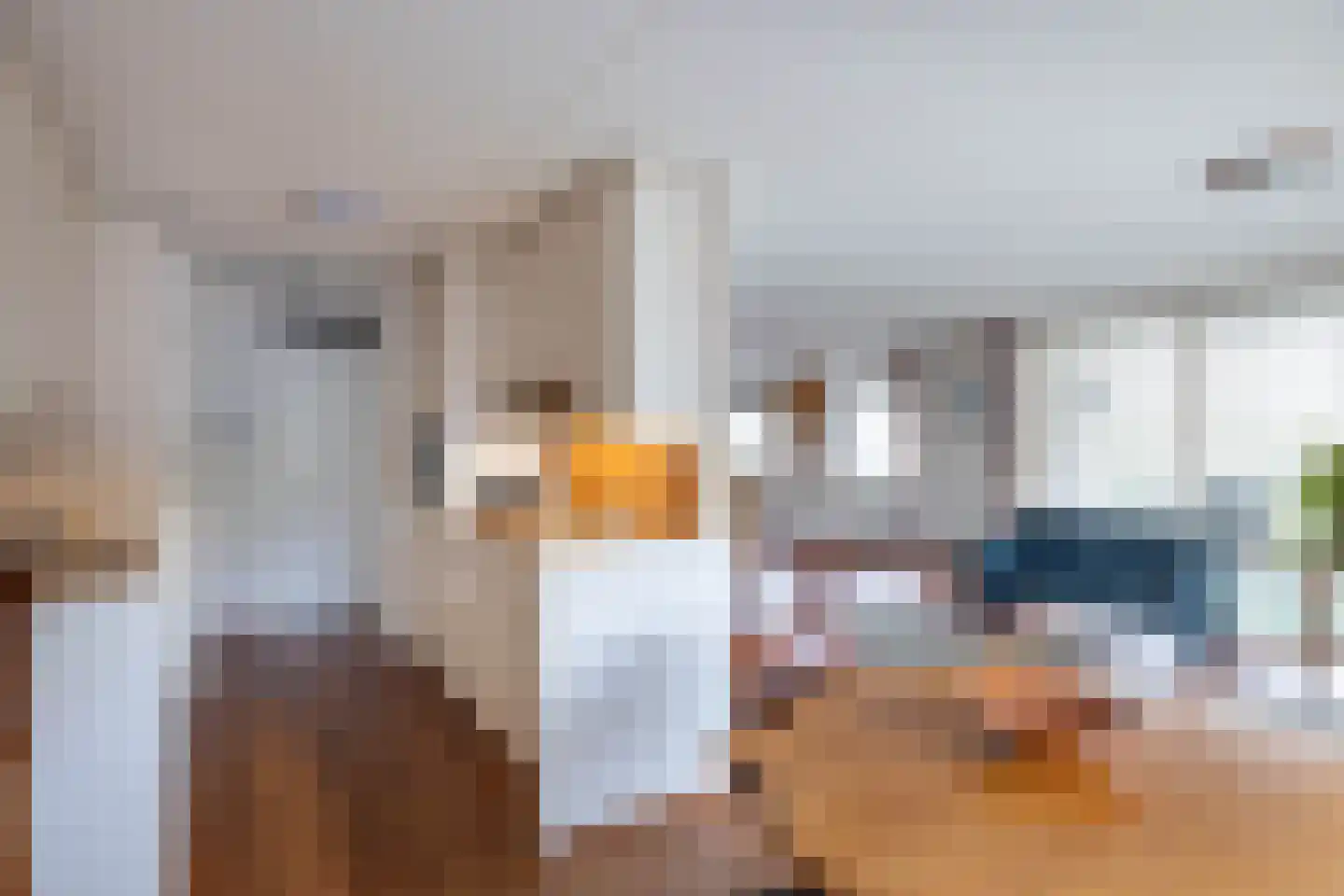 RWH Hofstede Crullstraat 43 Borne thumbnail 7