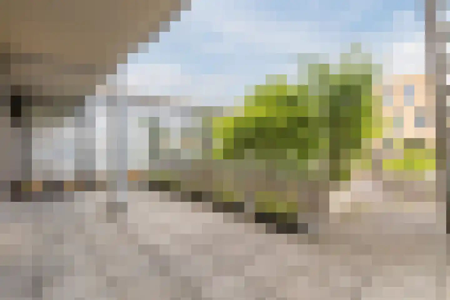 Ryelandstraat 9 Utrecht thumbnail 22