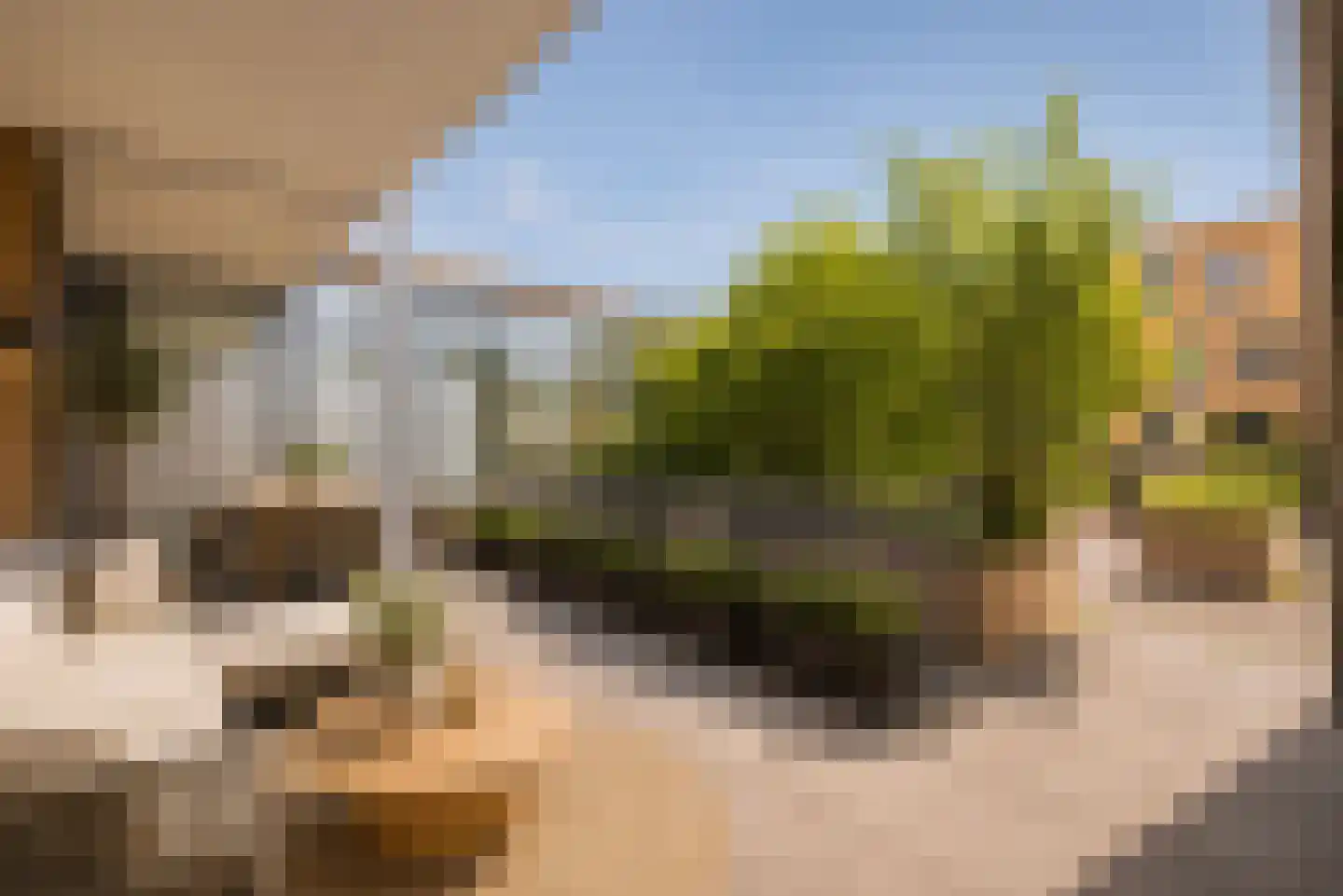 Ryelandstraat 9 Utrecht thumbnail 23