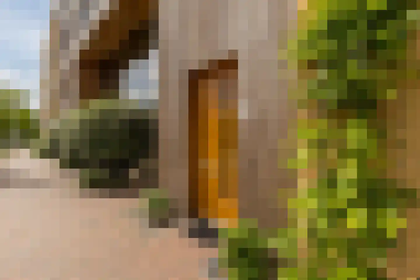 Ryelandstraat 9 Utrecht thumbnail 4