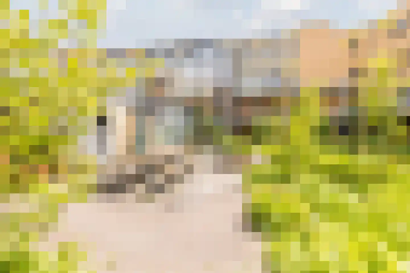 Ryelandstraat 9 Utrecht thumbnail 46