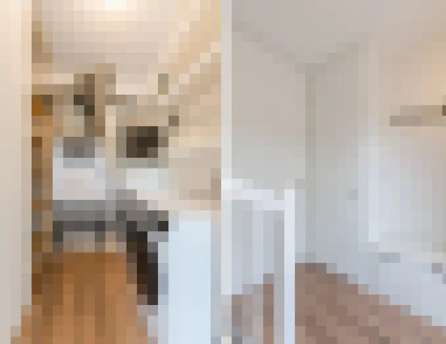 Ryelandstraat 9 Utrecht thumbnail 5