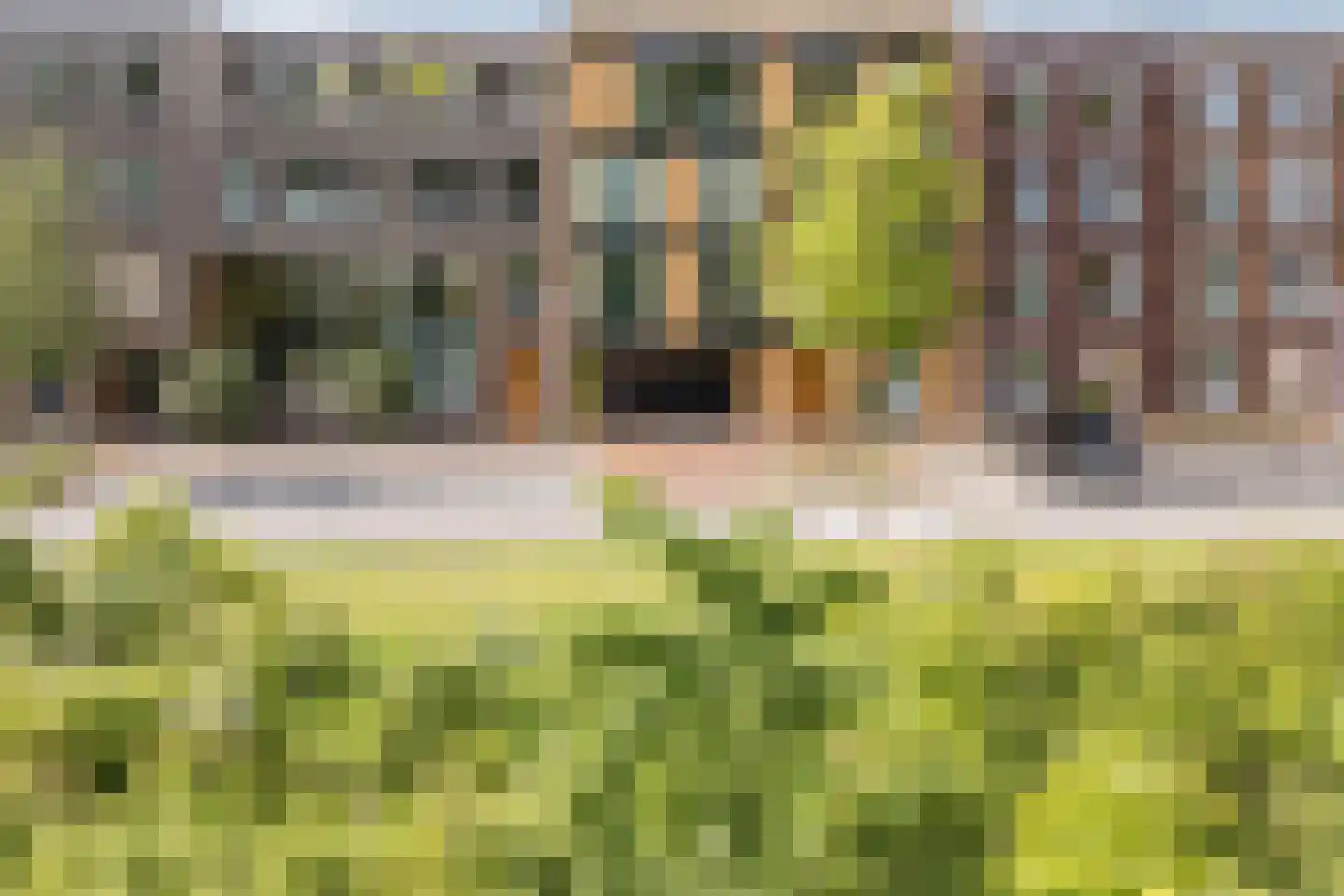 Ryelandstraat 9 Utrecht thumbnail 62