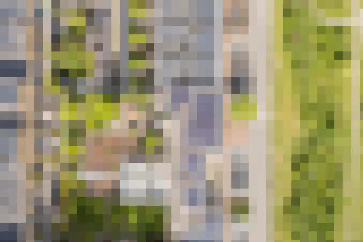 Ryelandstraat 9 Utrecht thumbnail 67