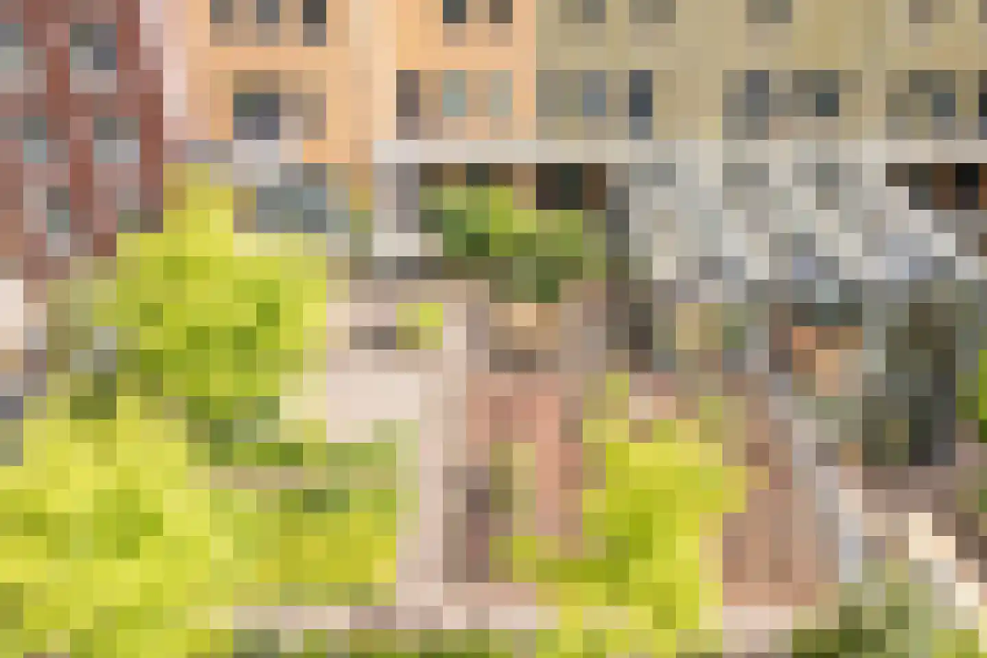 Ryelandstraat 9 Utrecht thumbnail 70