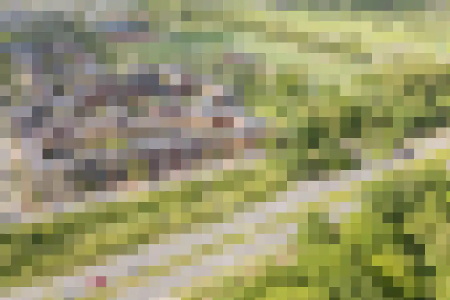 Ryelandstraat 9 Utrecht thumbnail 72