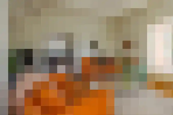 Rykswei 14 Kootstertille thumbnail 12