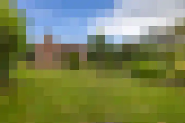 Rykswei 14 Kootstertille thumbnail 4