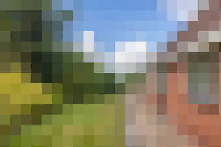 Rykswei 14 Kootstertille thumbnail 52
