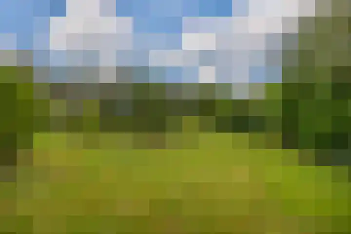 Rykswei 14 Kootstertille thumbnail 6