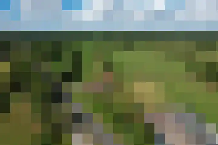 Rykswei 14 Kootstertille thumbnail 61