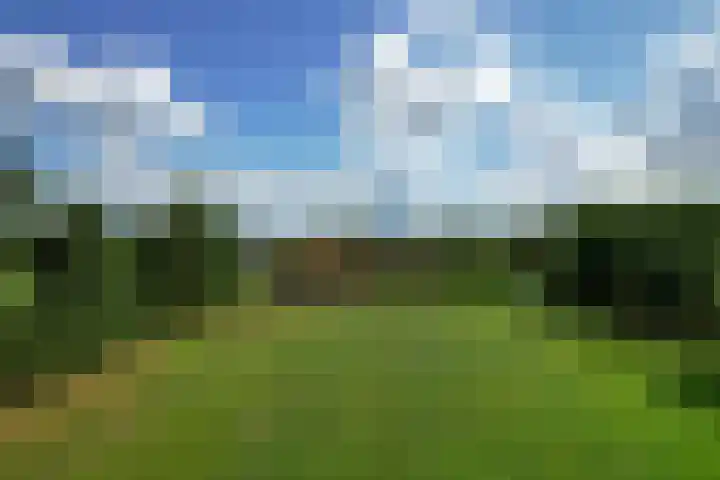 Rykswei 14 Kootstertille thumbnail 62