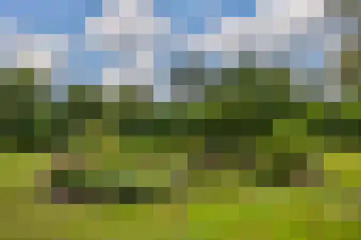 Rykswei 14 Kootstertille thumbnail 7