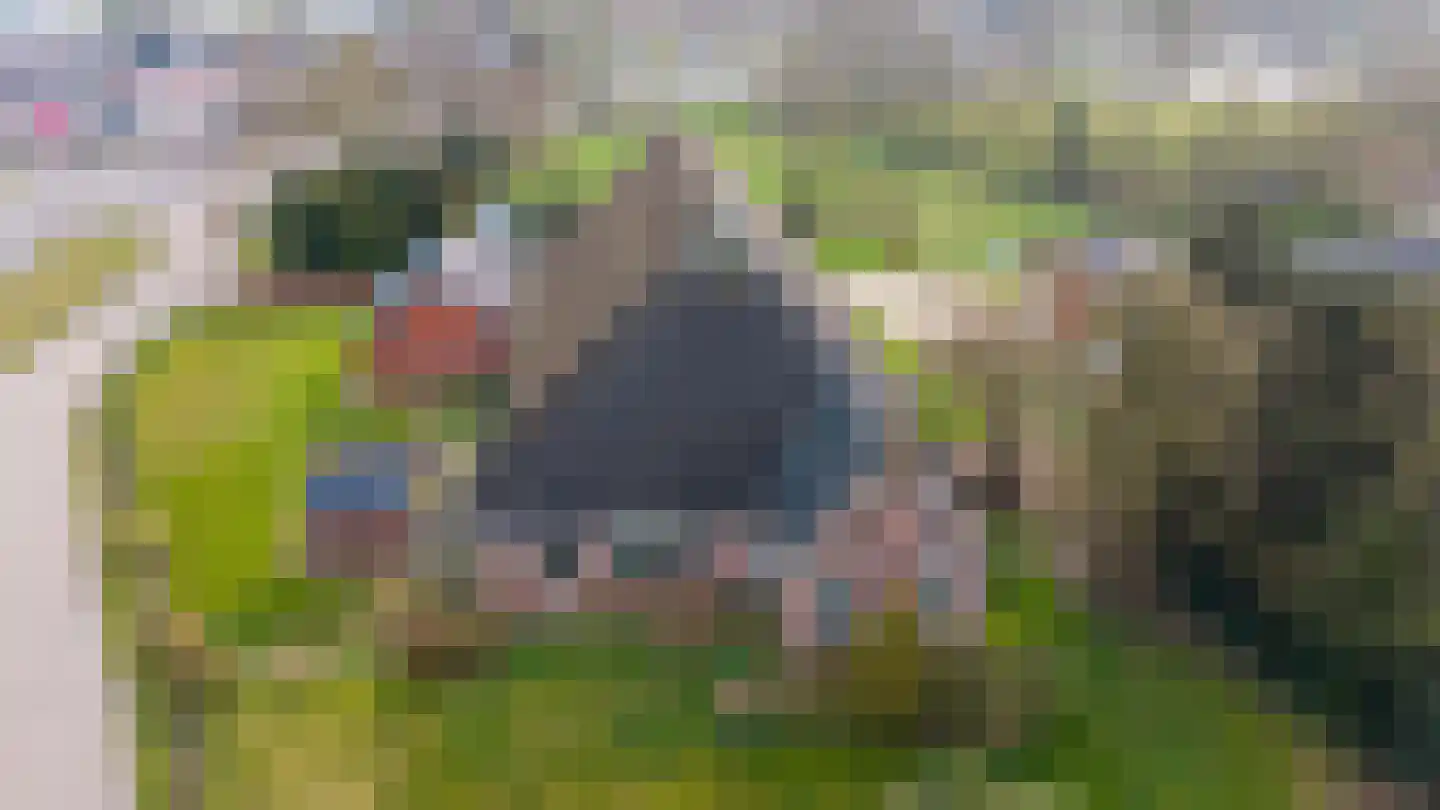 Rykswei 7 in Kootstertille