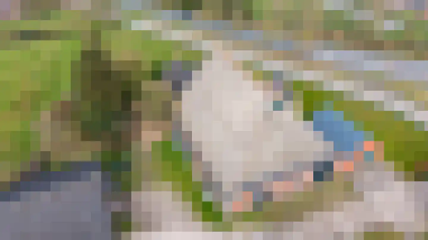 Rykswei 7 Kootstertille thumbnail 30