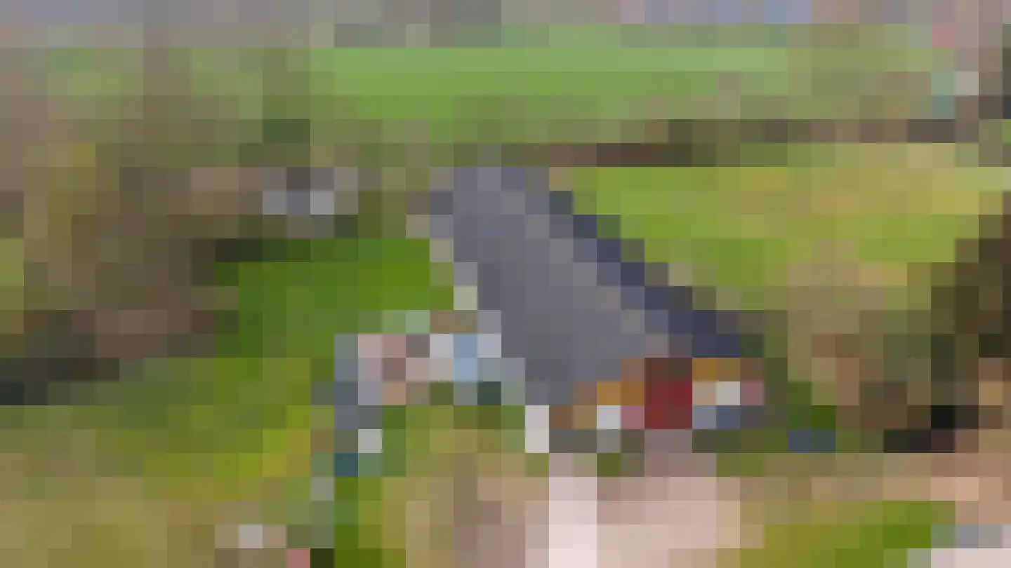 Rykswei 7 Kootstertille thumbnail 32