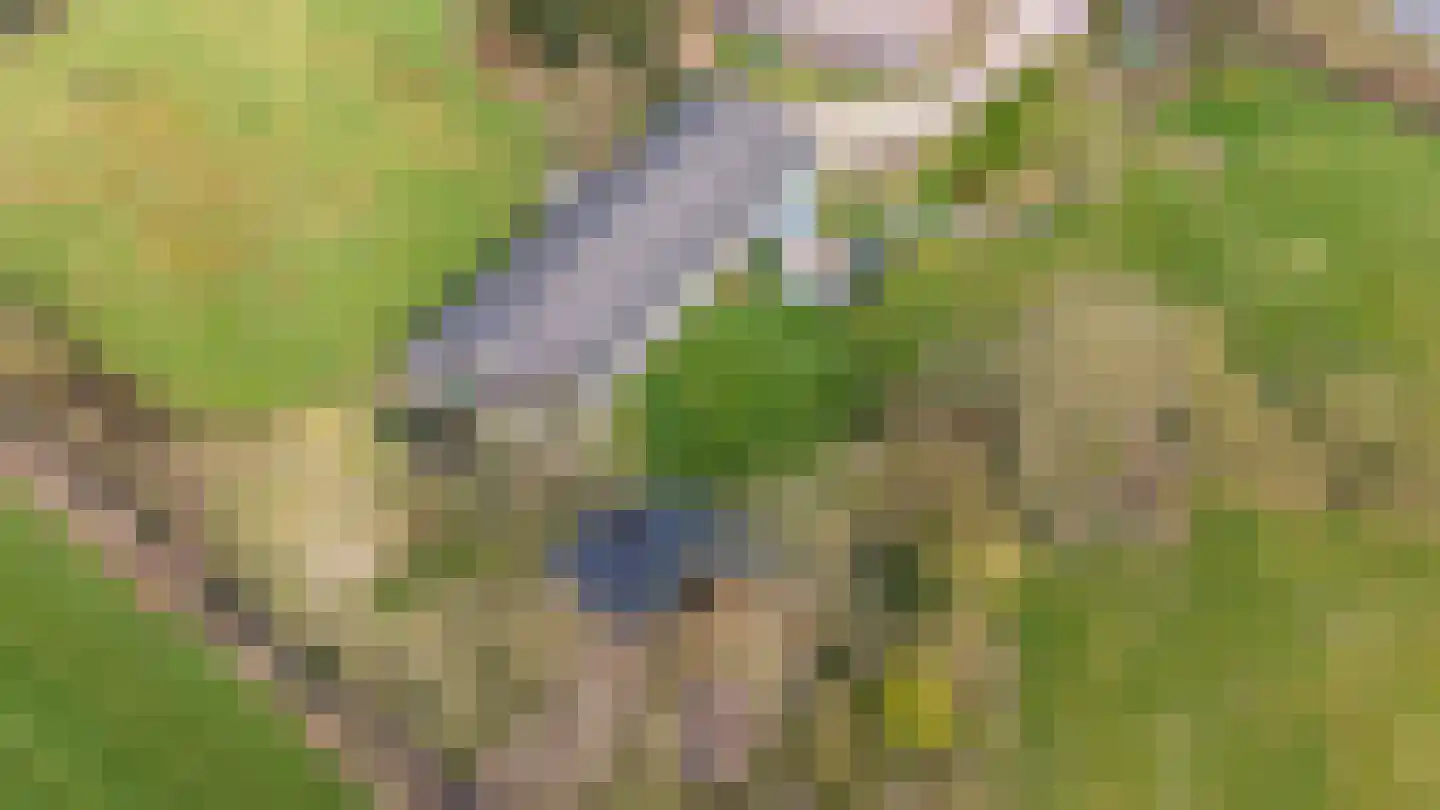 Rykswei 7 Kootstertille thumbnail 33