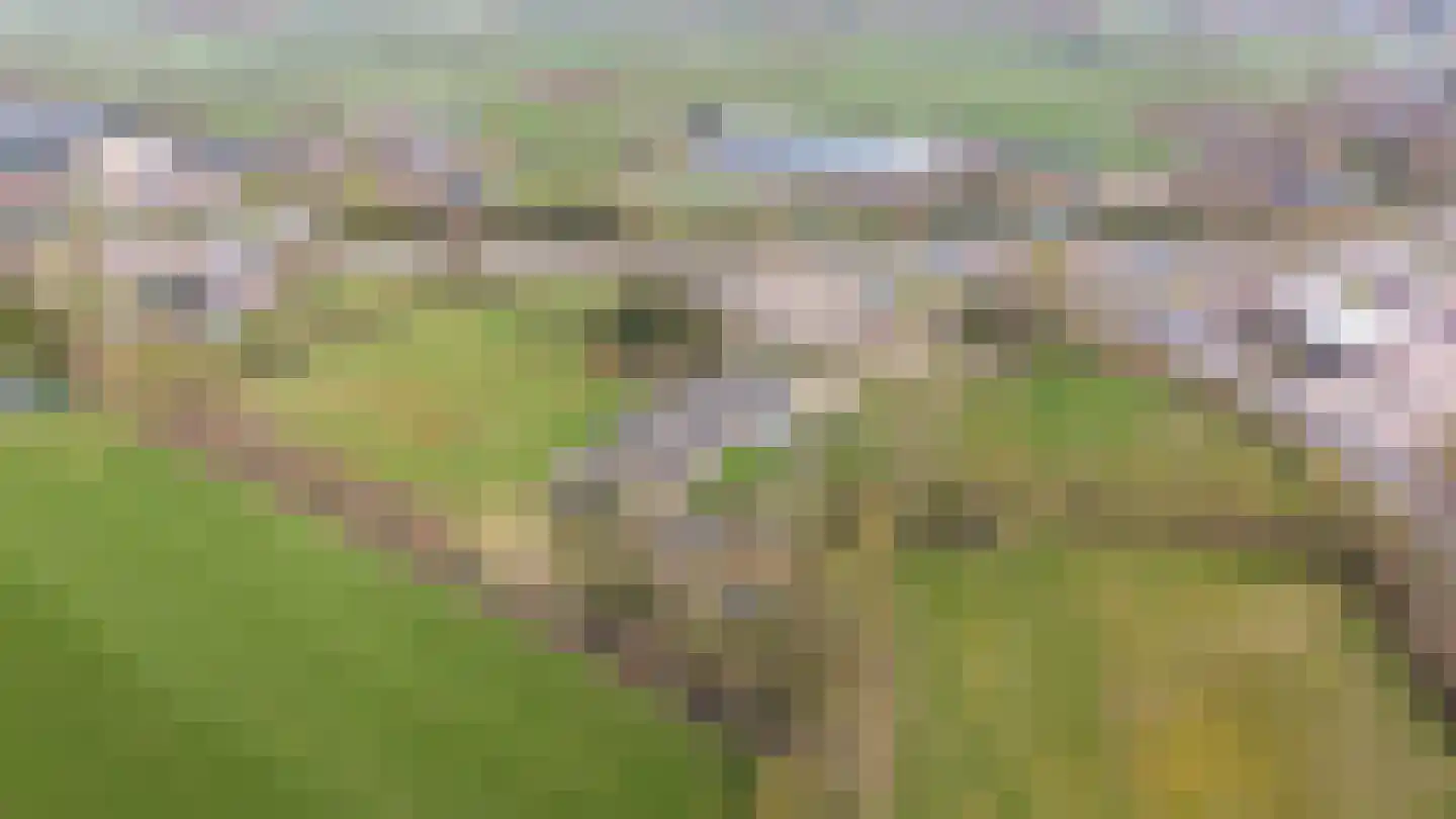 Rykswei 7 Kootstertille thumbnail 35