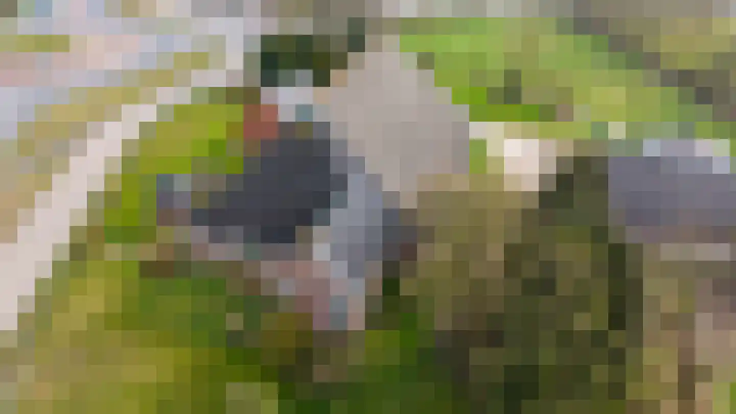 Rykswei 7 Kootstertille thumbnail 36
