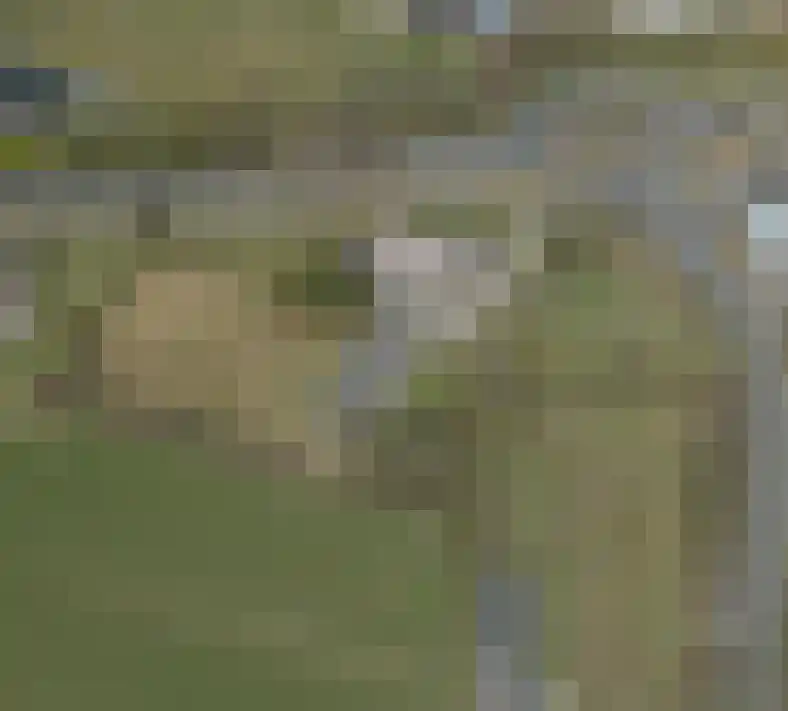 Rykswei 7 Kootstertille thumbnail 42