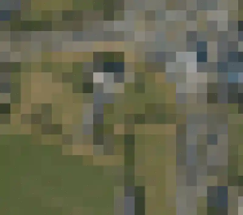 Rykswei 7 Kootstertille thumbnail 43