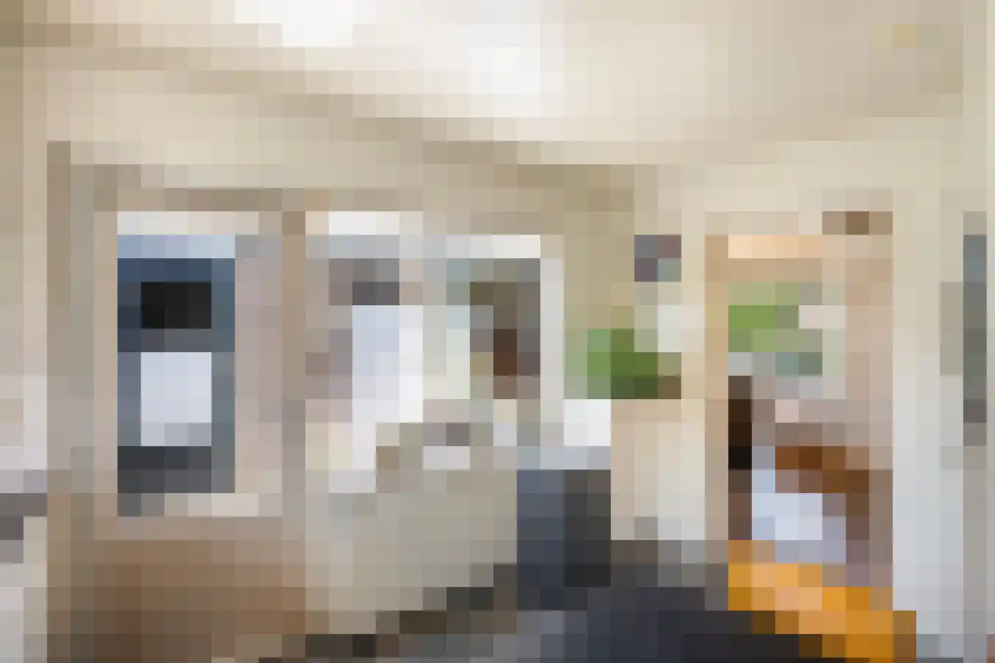 Rynoldingstraat 13 Dalfsen thumbnail 10