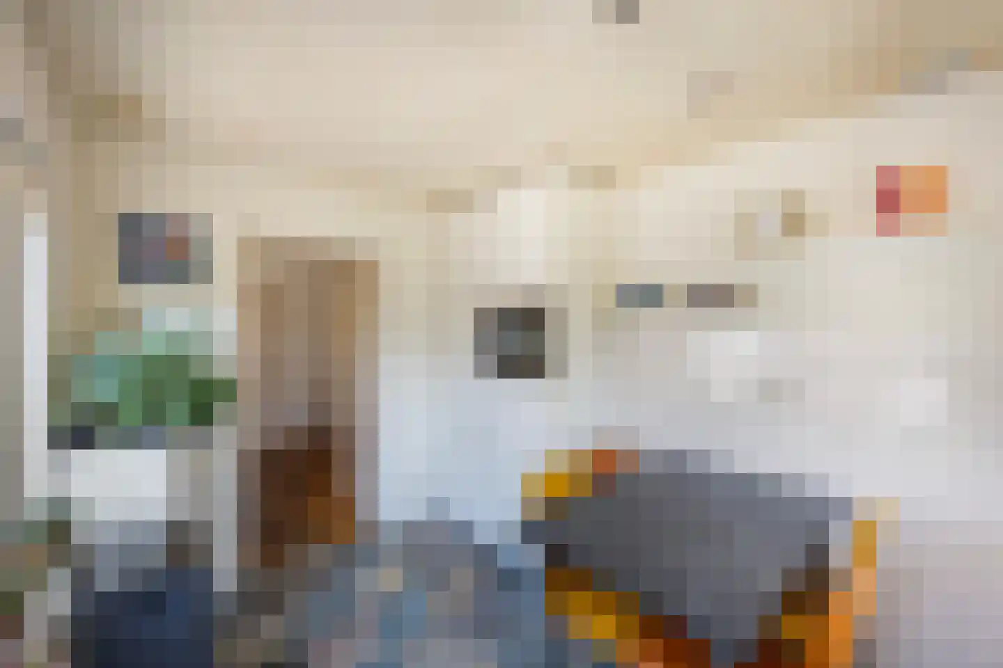 Rynoldingstraat 13 Dalfsen thumbnail 11