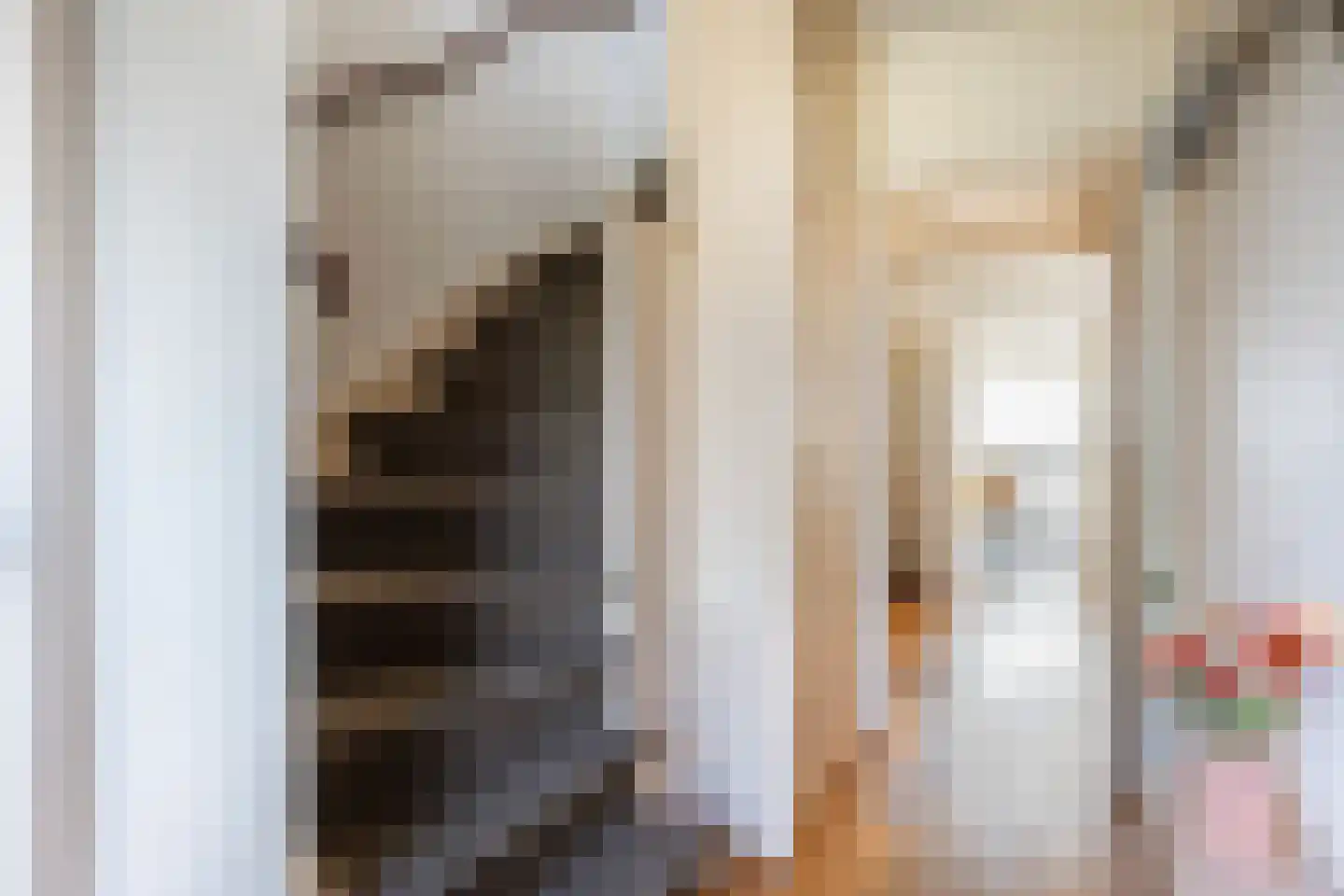 Rynoldingstraat 13 Dalfsen thumbnail 13