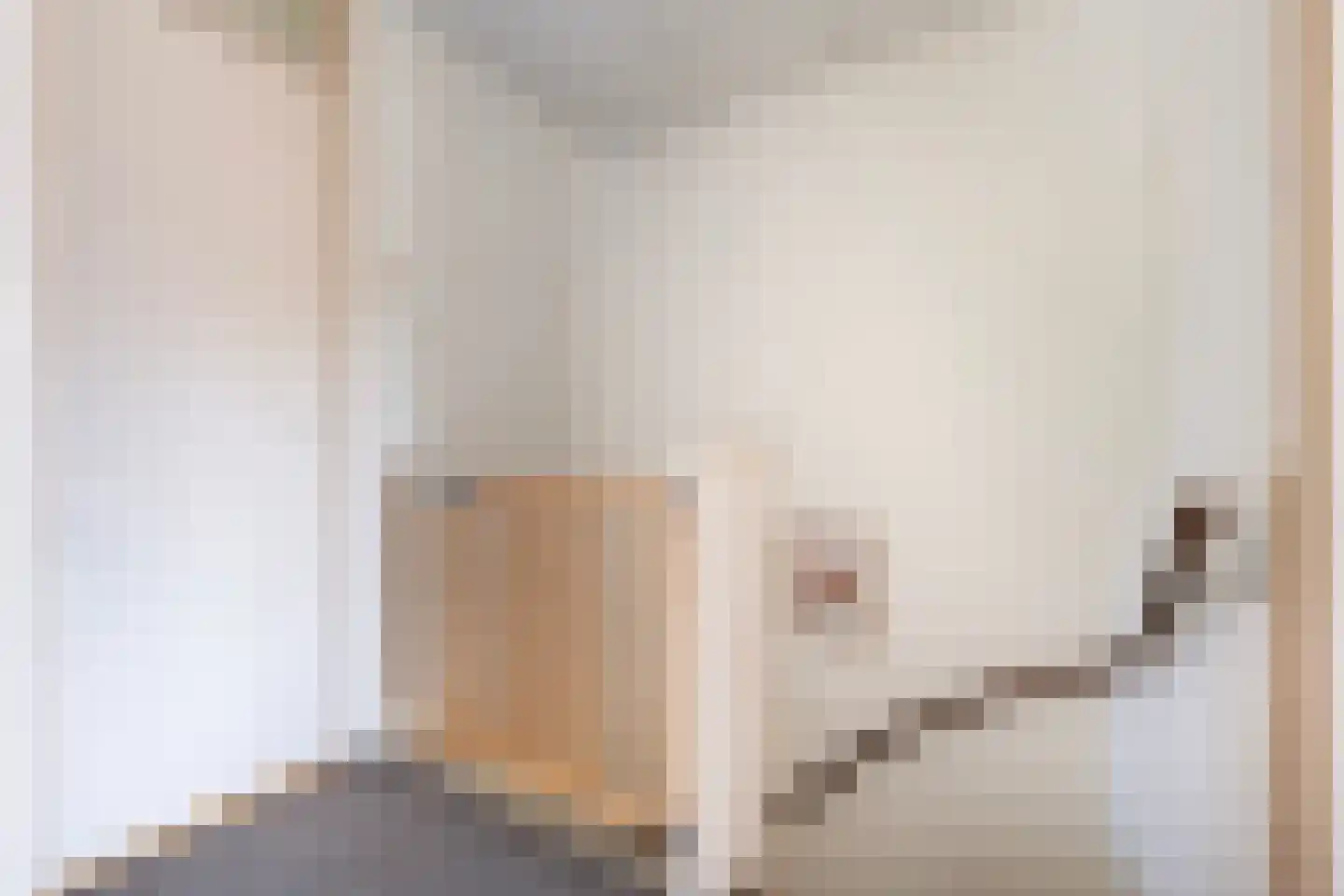 Rynoldingstraat 13 Dalfsen thumbnail 14