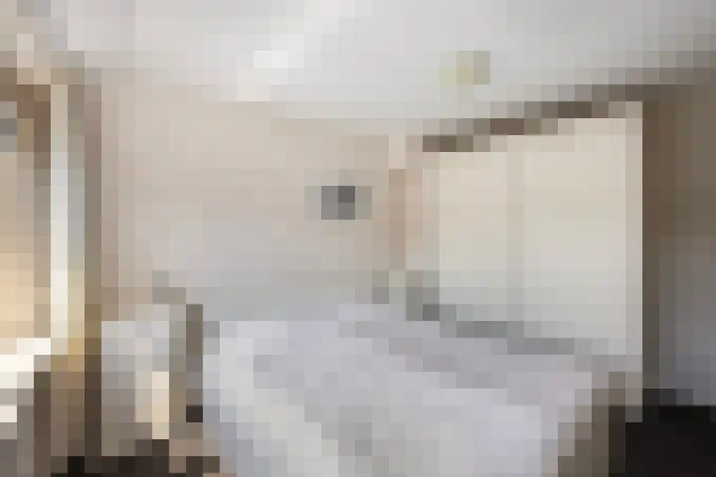 Rynoldingstraat 13 Dalfsen thumbnail 18