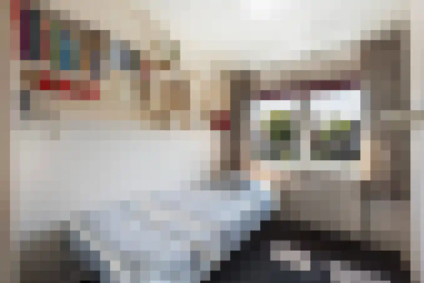 Rynoldingstraat 13 Dalfsen thumbnail 19