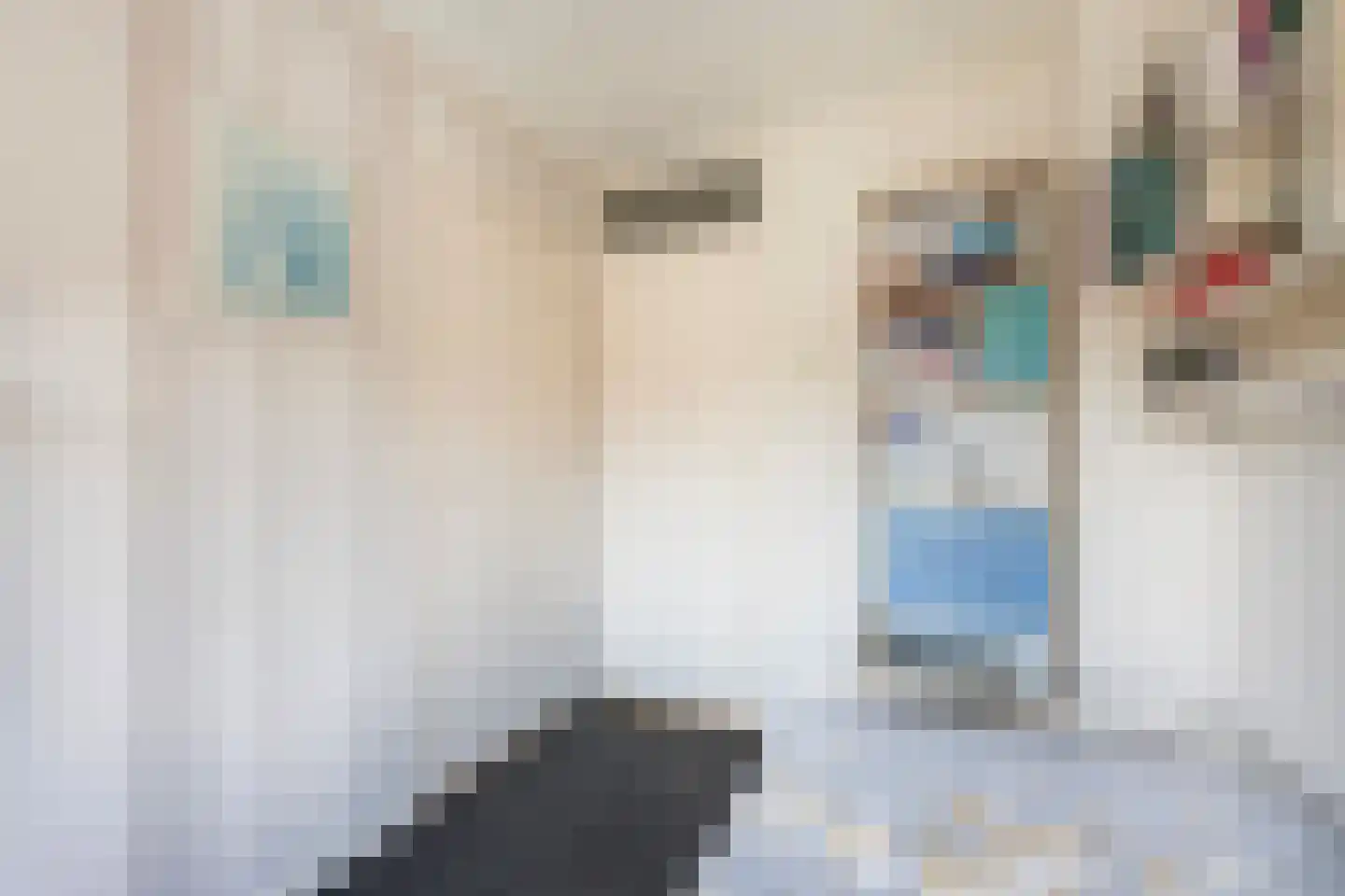 Rynoldingstraat 13 Dalfsen thumbnail 20
