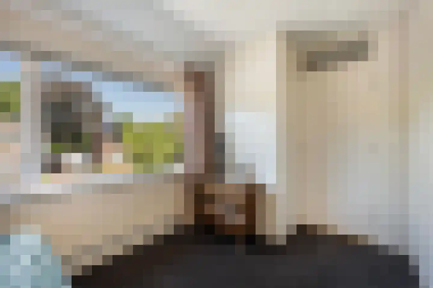 Rynoldingstraat 13 Dalfsen thumbnail 22