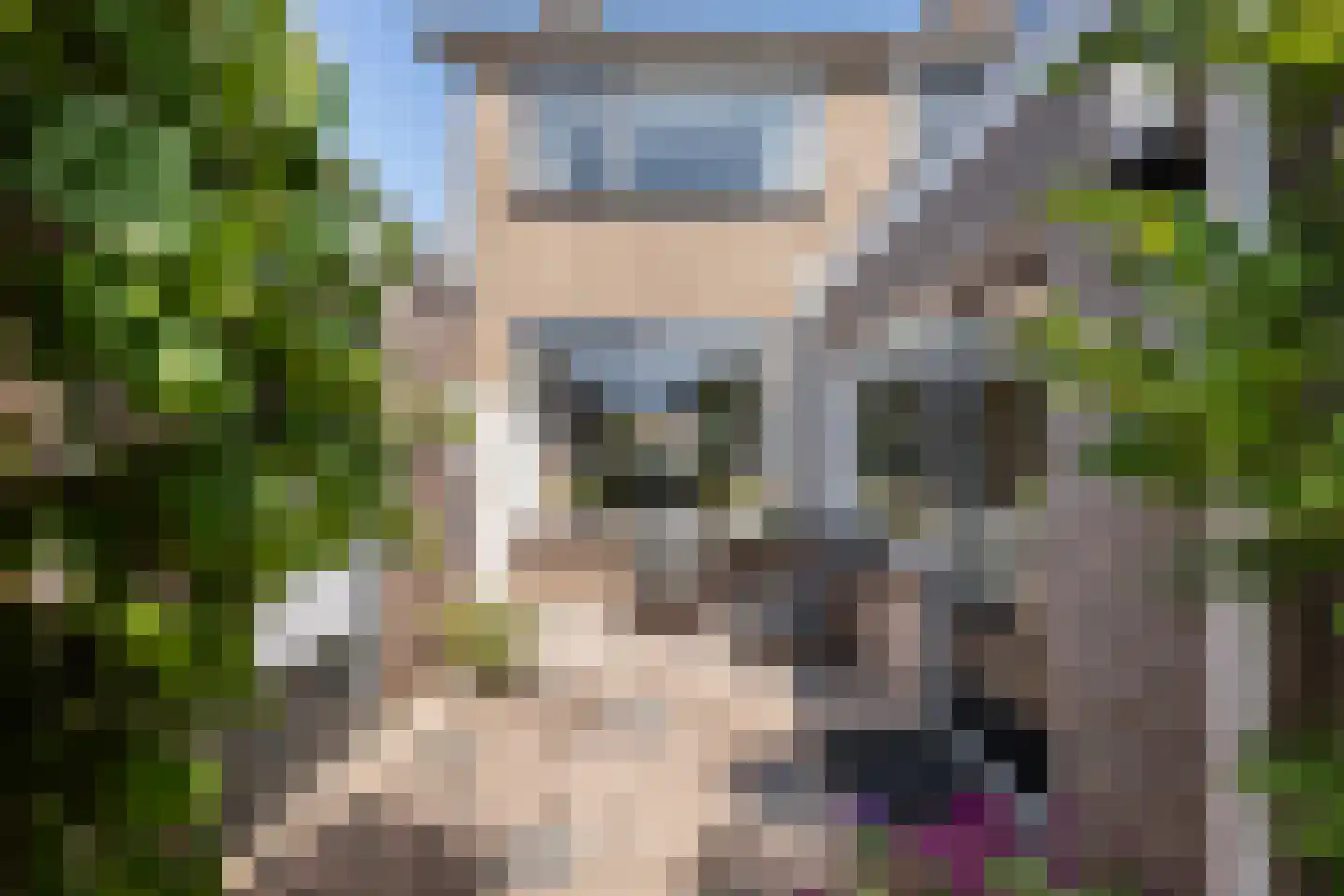 Rynoldingstraat 13 Dalfsen thumbnail 25