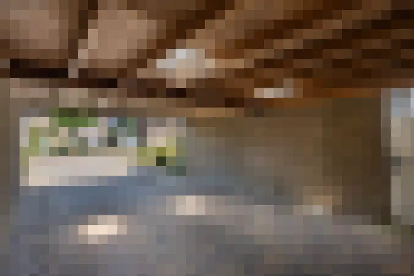 Rynoldingstraat 13 Dalfsen thumbnail 29