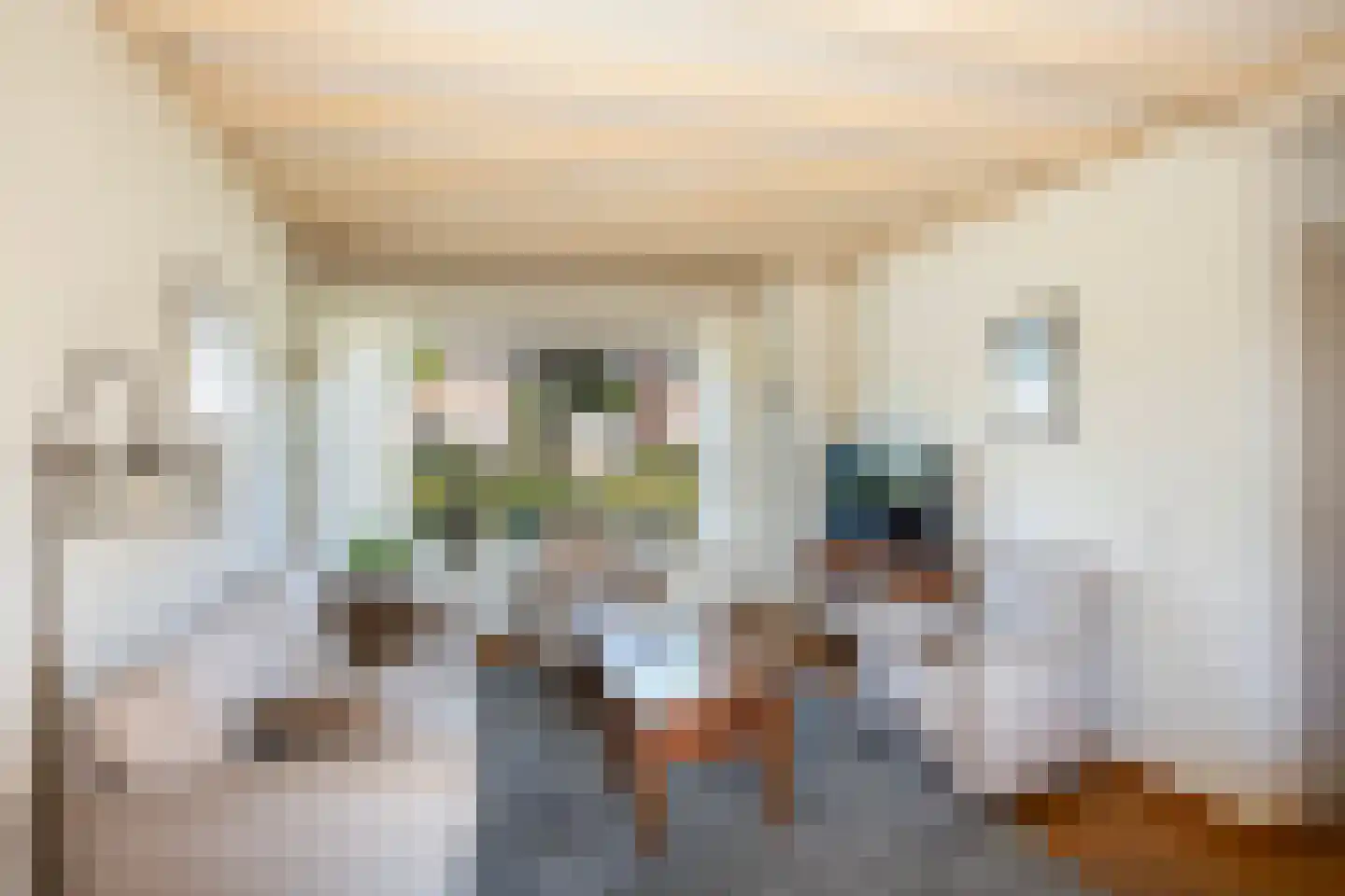 Rynoldingstraat 13 Dalfsen thumbnail 5
