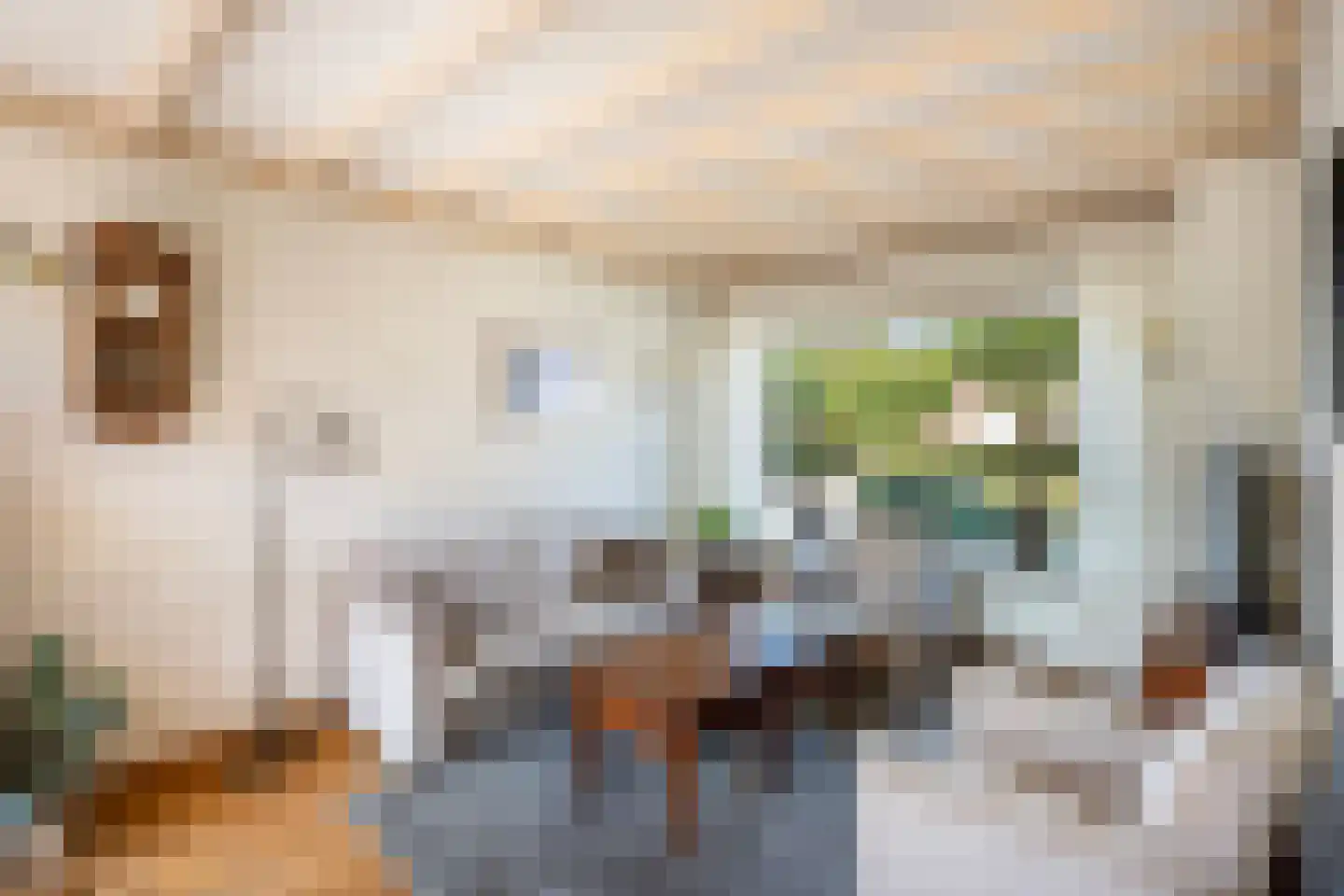 Rynoldingstraat 13 Dalfsen thumbnail 6
