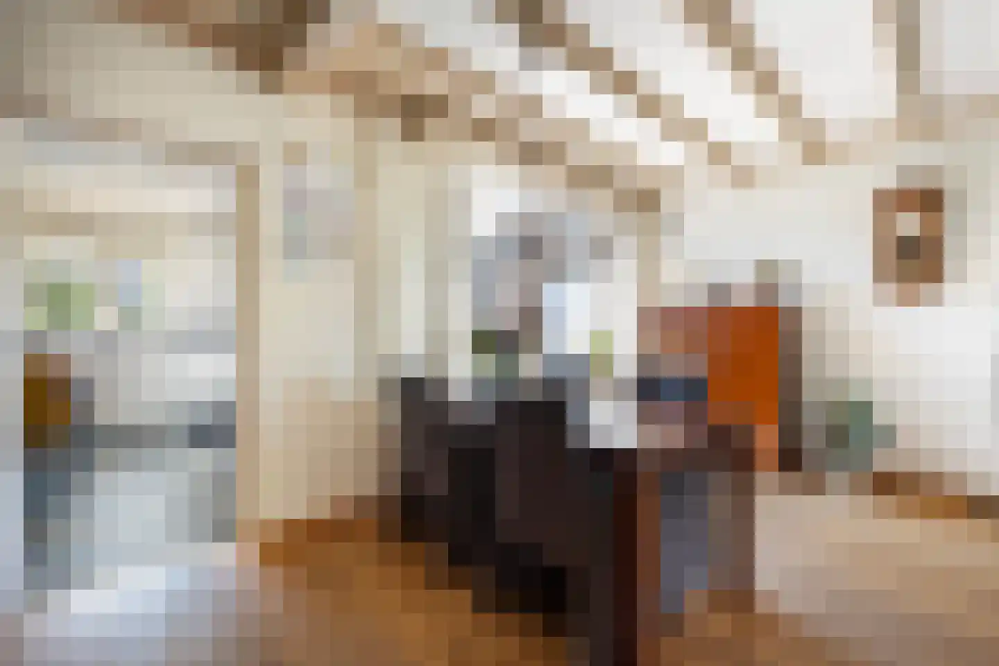 Rynoldingstraat 13 Dalfsen thumbnail 7