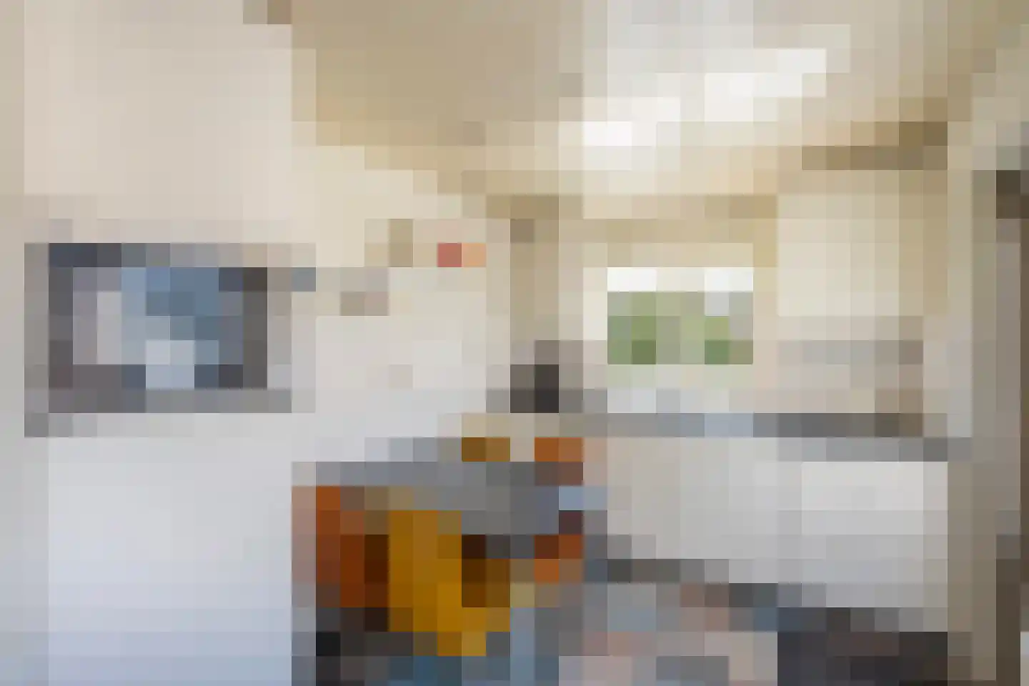 Rynoldingstraat 13 Dalfsen thumbnail 9