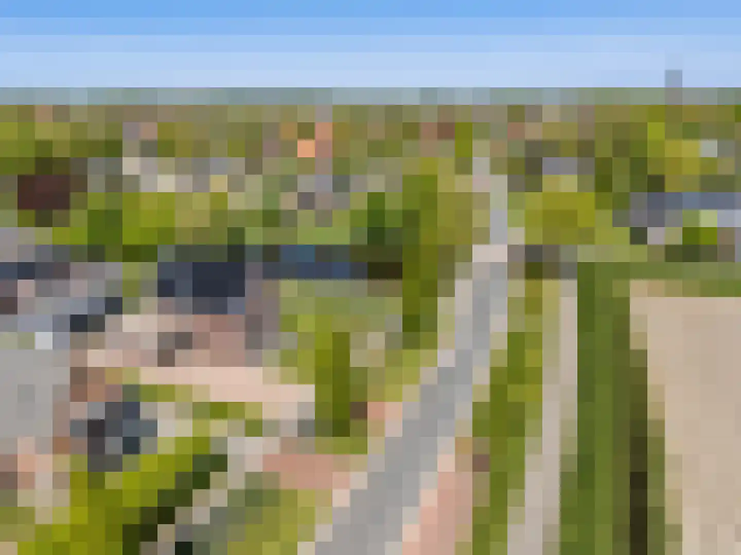 Rypsterdyk 28 Menaam thumbnail 10