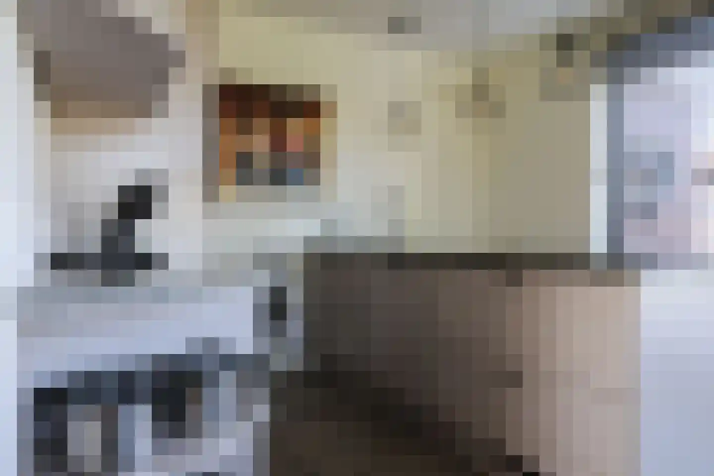 Rypsterdyk 28 Menaam thumbnail 32
