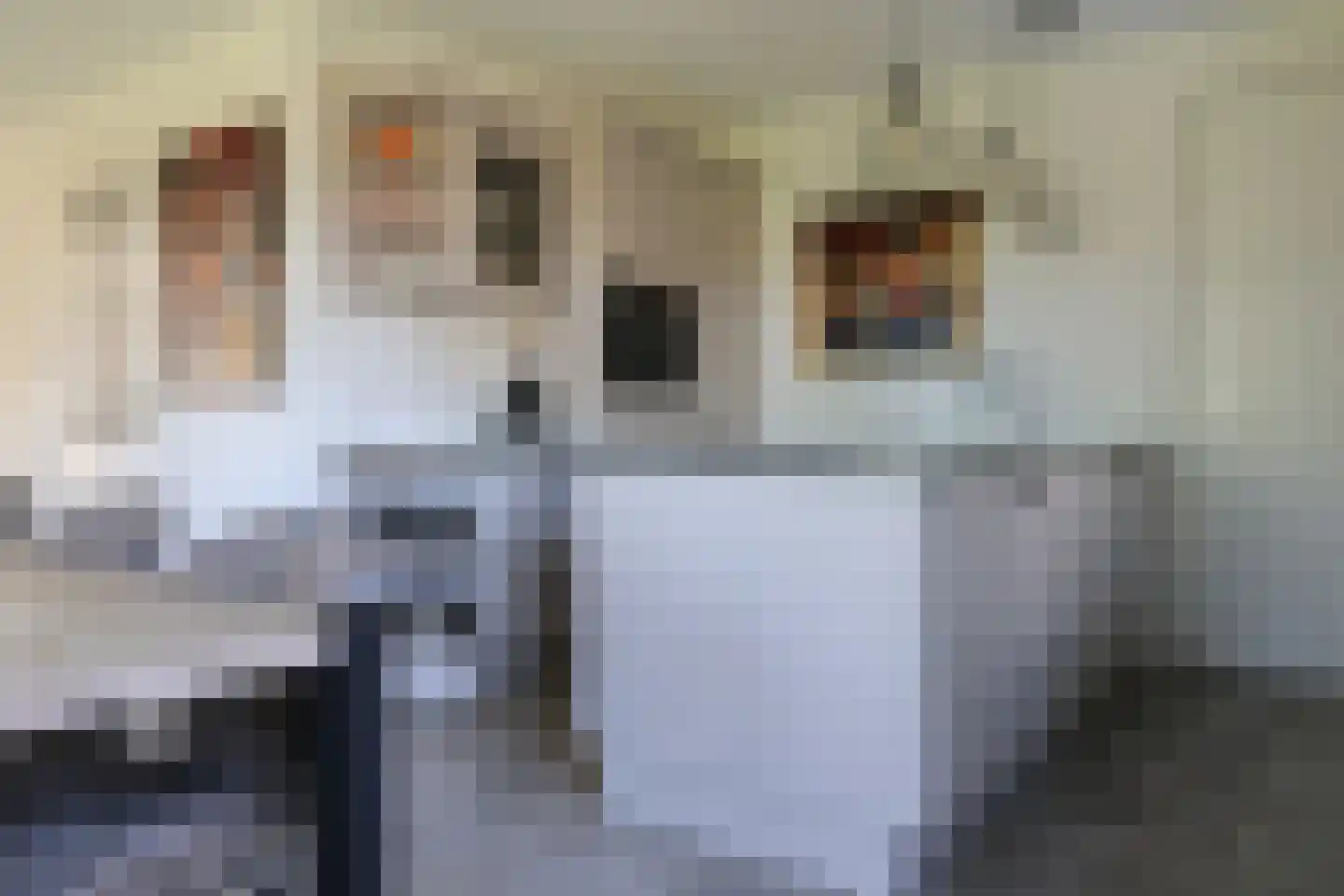 Rypsterdyk 28 Menaam thumbnail 35